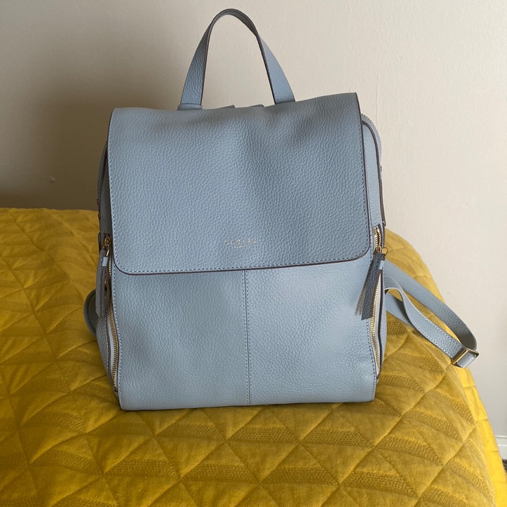 Lorne Close Radley London Backpack.
